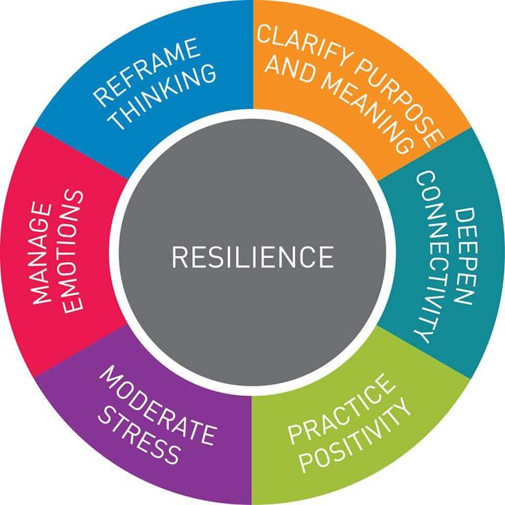 The Resilience Mindset: Overcoming Challenges And Building Mental Fortitude The Resilience Mindset: Overcoming Challenges And Building Mental Fortitude