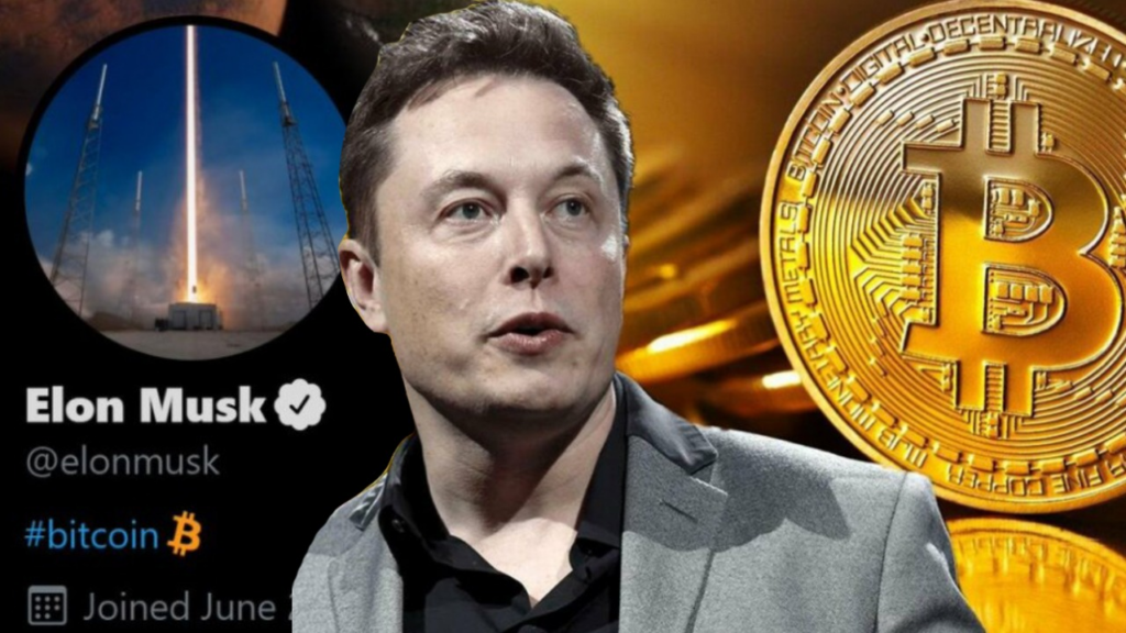 The Tesla-Dogecoin Connection: Analyzing The Impact Of Elon Musk's Actions The Tesla-Dogecoin Connection: Analyzing The Impact Of Elon Musk's Actions