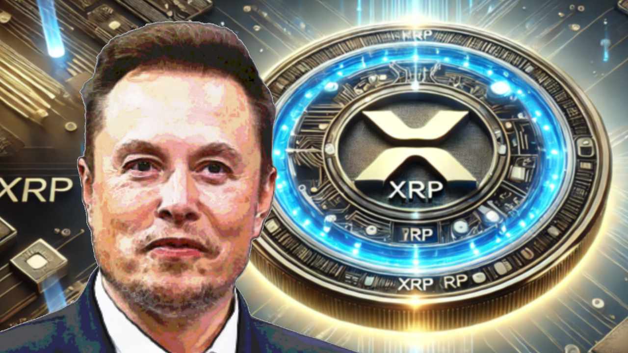 The Trade War And Crypto: A Potential Winner Emerges The Trade War And Crypto: A Potential Winner Emerges