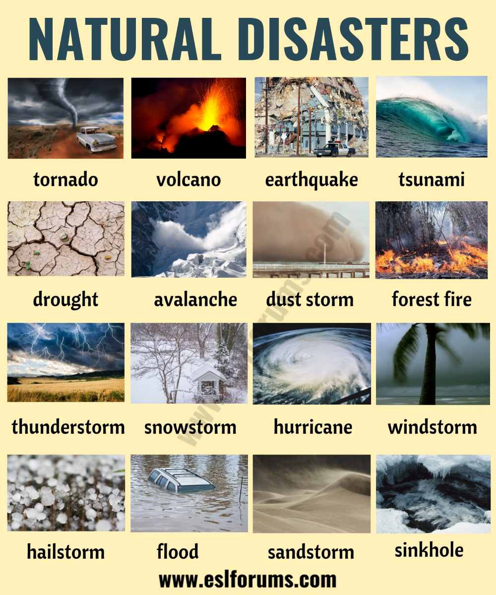 The Troubling Trend Of Betting On Natural Disasters: The LA Wildfire Example The Troubling Trend Of Betting On Natural Disasters: The LA Wildfire Example