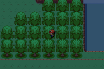The Ultimate Pokemon Ash Gray Walkthrough And Trainer Guide The Ultimate Pokemon Ash Gray Walkthrough And Trainer Guide