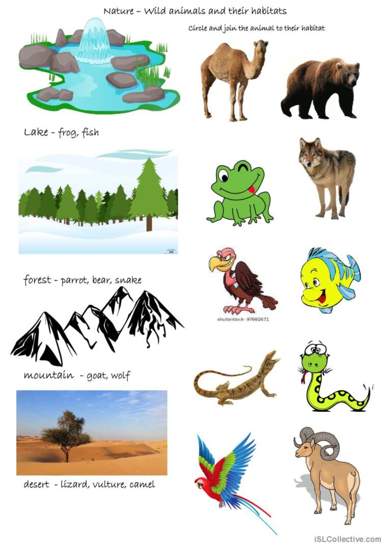The Wonder Of Animals: Their Behaviors, Habitats, And Conservation The Wonder Of Animals: Their Behaviors, Habitats, And Conservation