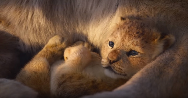 Tim Rice Pens Lyrics For Upcoming Lion King Project: 