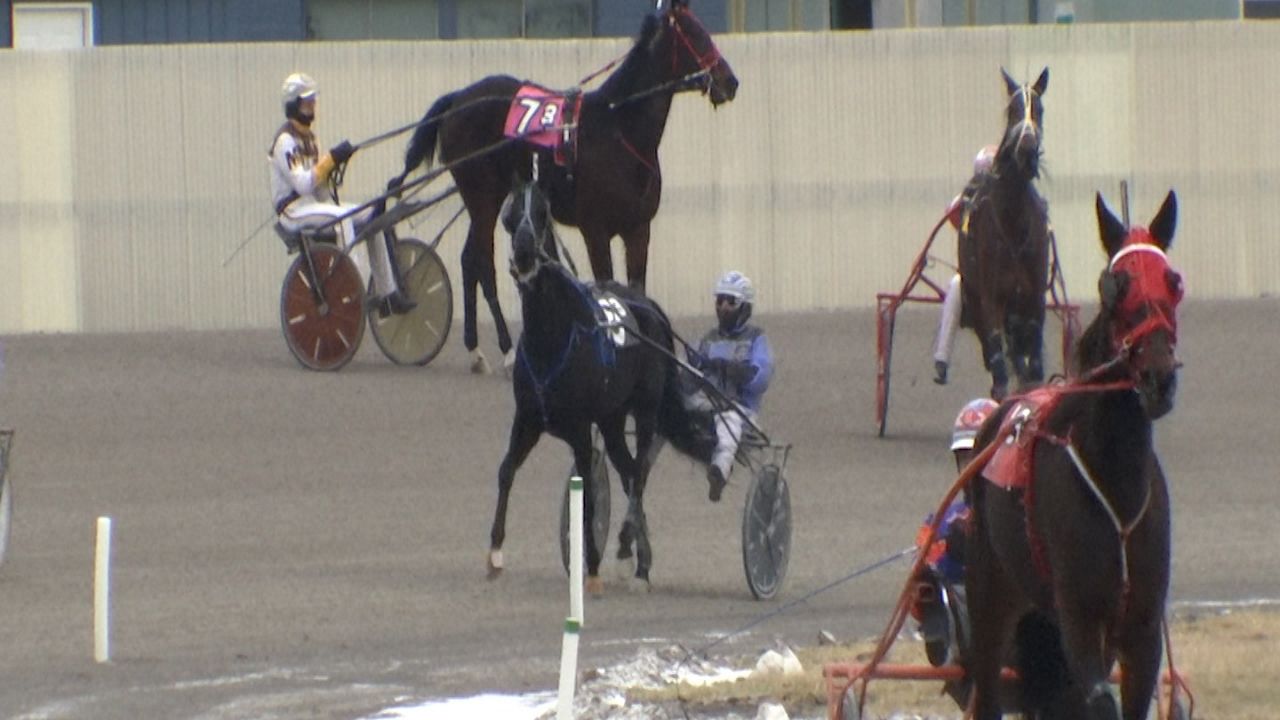 Tioga Downs 2025: What To Expect From The Upcoming Racing Season Tioga Downs 2025: What To Expect From The Upcoming Racing Season