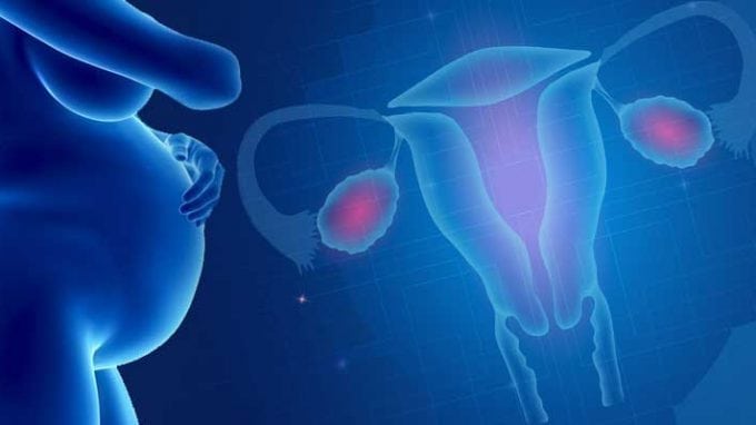 Transgender Women And Childbearing: A Children's Hospital Activist's Perspective On Uterus Transplants Transgender Women And Childbearing: A Children's Hospital Activist's Perspective On Uterus Transplants