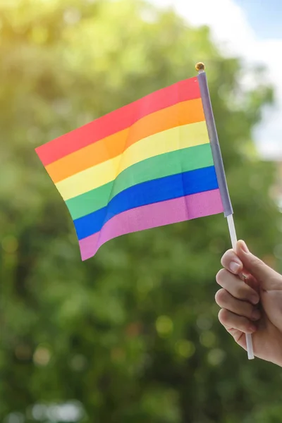 Transznemű Jogok És Letartóztatás: Floridai Esettanulmány Transznemű Jogok És Letartóztatás: Floridai Esettanulmány