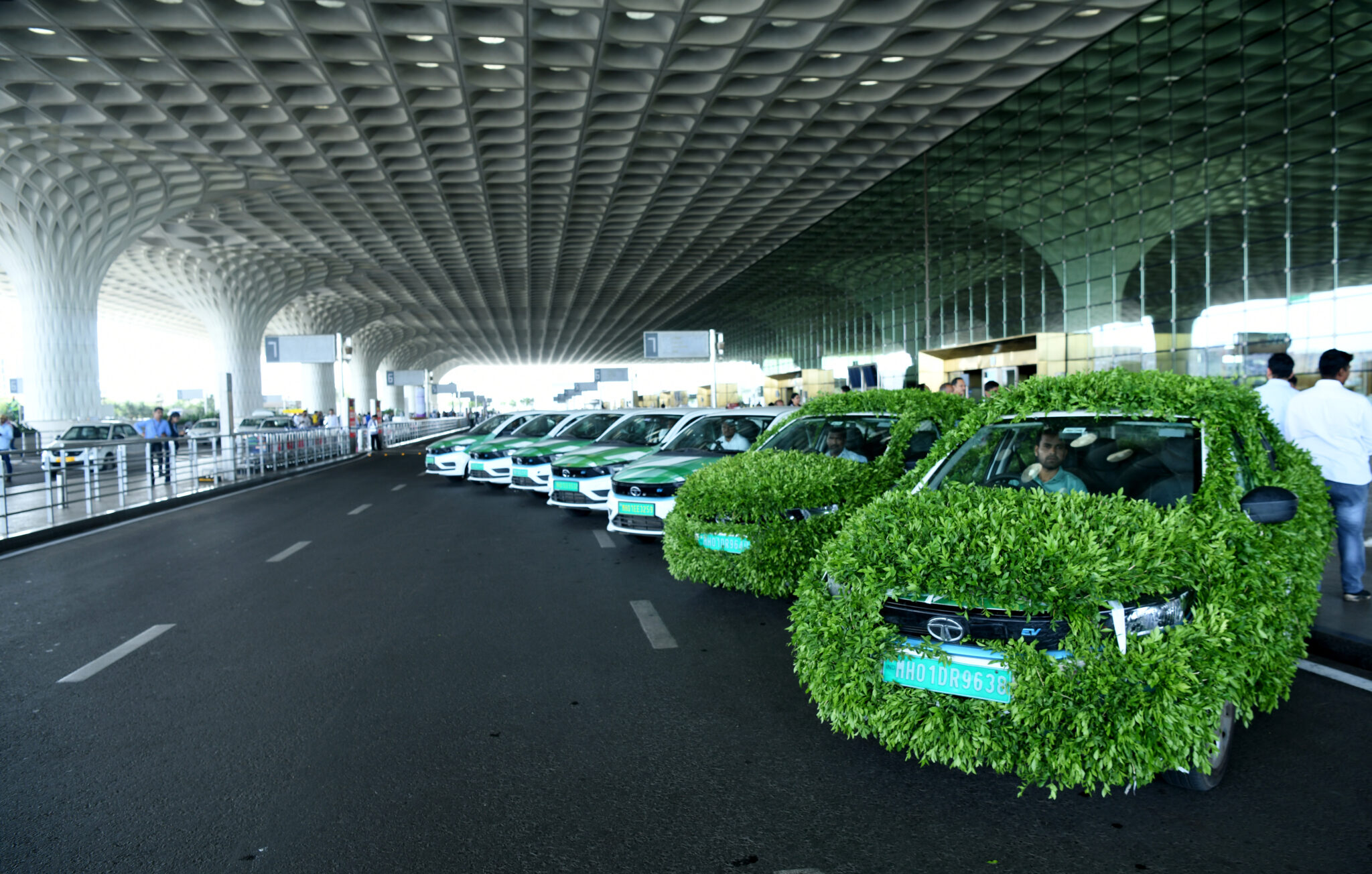 Uber Mumbai: Pet Travel Policy And Booking Guide Uber Mumbai: Pet Travel Policy And Booking Guide