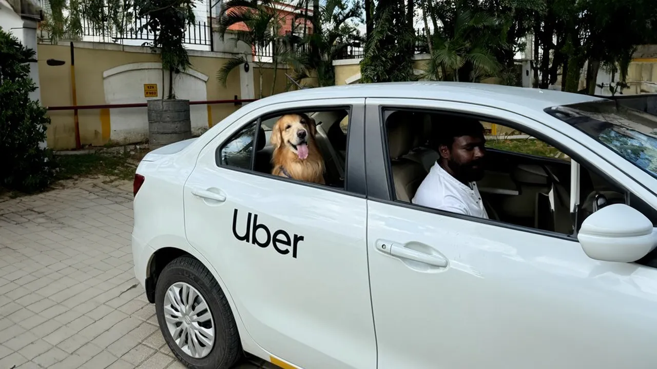 Uber Pet Policy Mumbai: A Complete Guide For Pet Owners Uber Pet Policy Mumbai: A Complete Guide For Pet Owners