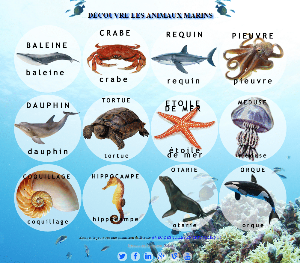 Un Jour En Mer: Guide Complet Pour Tous Les Marins Un Jour En Mer: Guide Complet Pour Tous Les Marins