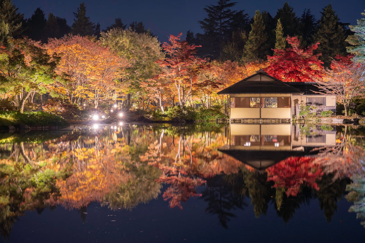 Understanding The Complexity Of Japan's Metropolis Understanding The Complexity Of Japan's Metropolis
