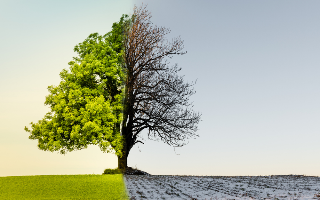 Understanding The Link Between Climate Change And Home Financing Understanding The Link Between Climate Change And Home Financing