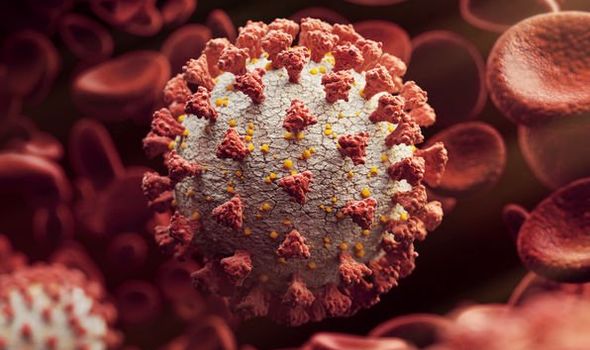 Understanding The Spread: A New COVID-19 Variant's National Reach Understanding The Spread: A New COVID-19 Variant's National Reach
