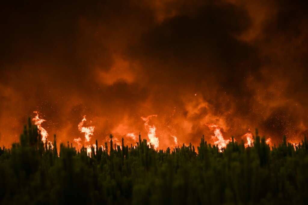 Unprecedented Global Forest Loss: The Impact Of Wildfires Unprecedented Global Forest Loss: The Impact Of Wildfires