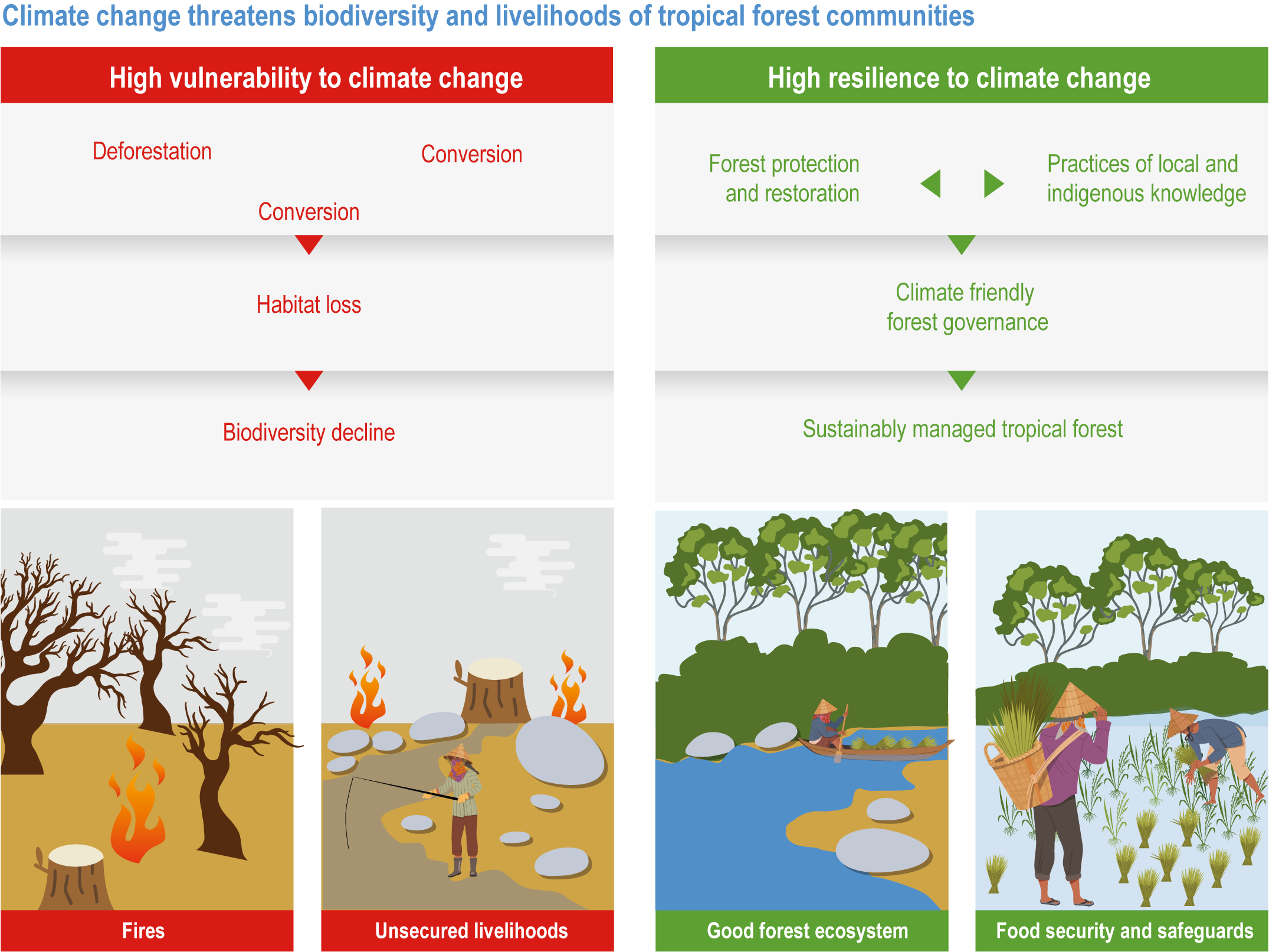 Unprecedented Global Forest Loss: The Role Of Wildfires And Climate Change Unprecedented Global Forest Loss: The Role Of Wildfires And Climate Change
