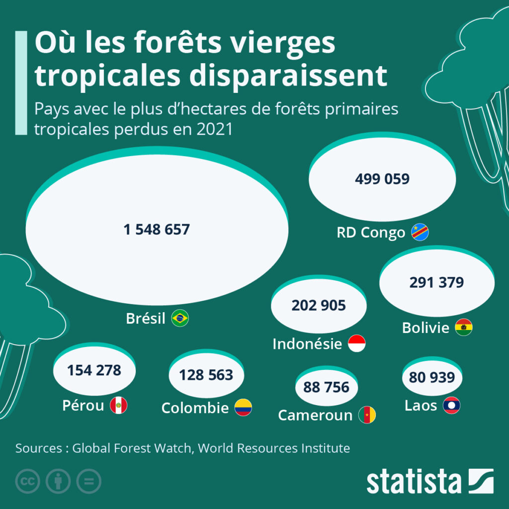 Urgence Humanitaire En Haïti : Les Enfants De Moins De 5 Ans Les Plus Touchés Urgence Humanitaire En Haïti : Les Enfants De Moins De 5 Ans Les Plus Touchés