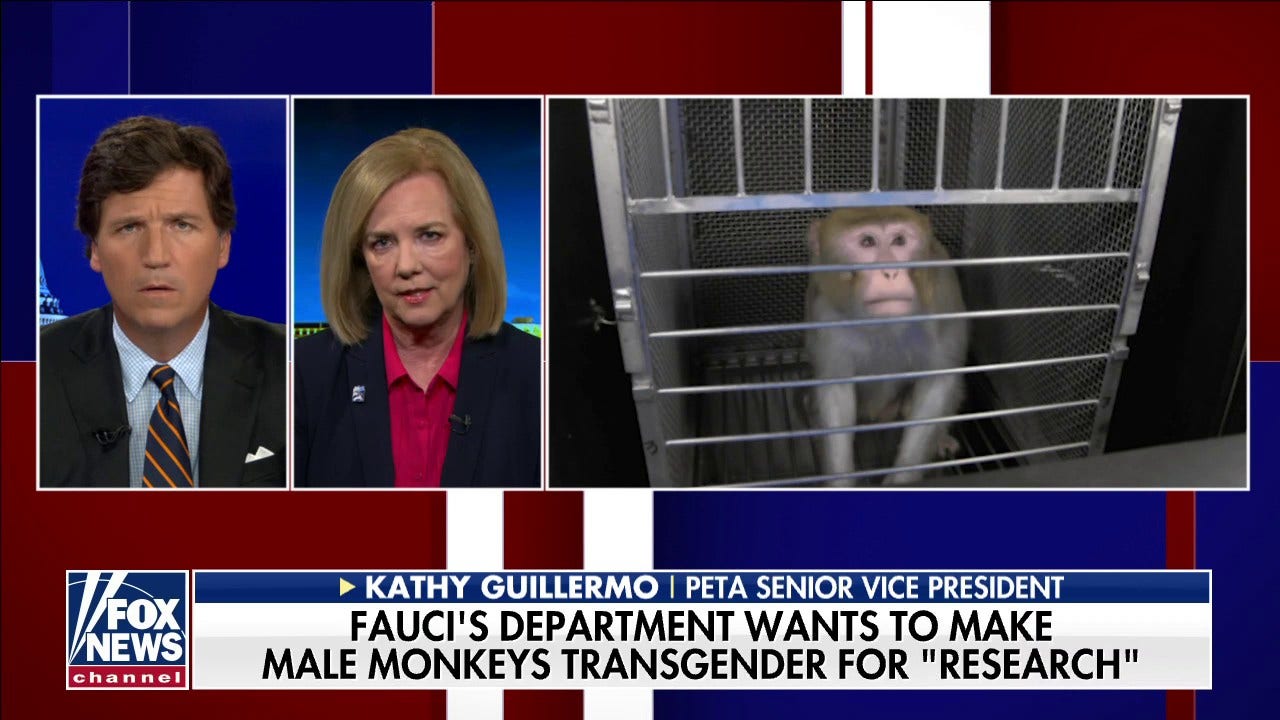 US Funding Of Transgender Mouse Research: Separating Fact From Fiction US Funding Of Transgender Mouse Research: Separating Fact From Fiction