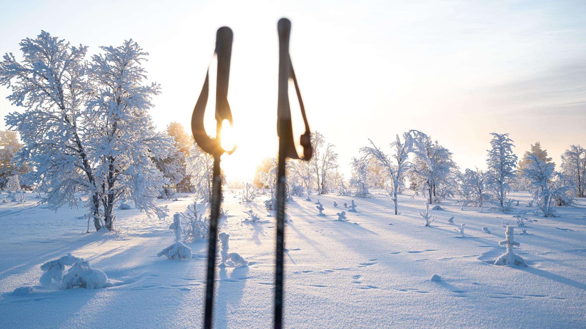Varm Vinter Fører Til At Skisentre Stenger Varm Vinter Fører Til At Skisentre Stenger