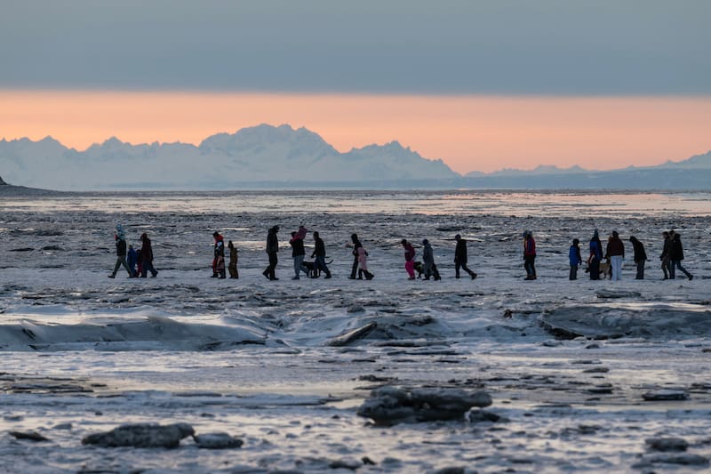 Warming Weather And Soft Mudflats Hinder Anchorage Fin Whale Skeleton Recovery Warming Weather And Soft Mudflats Hinder Anchorage Fin Whale Skeleton Recovery