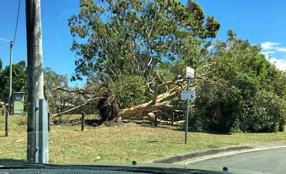 Watch Out For Damaging Winds: Fast-Moving Storms Explained Watch Out For Damaging Winds: Fast-Moving Storms Explained