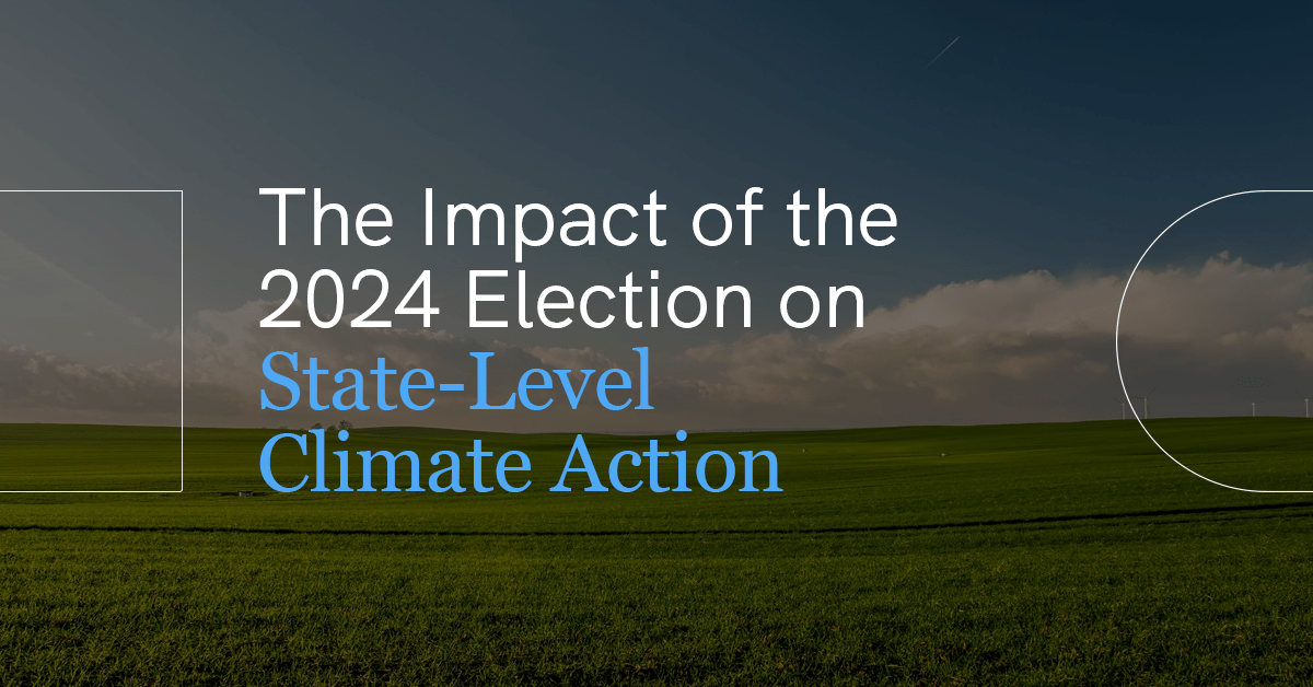 What The 2024 Florida And Wisconsin Turnout Reveals About The Political Climate What The 2024 Florida And Wisconsin Turnout Reveals About The Political Climate