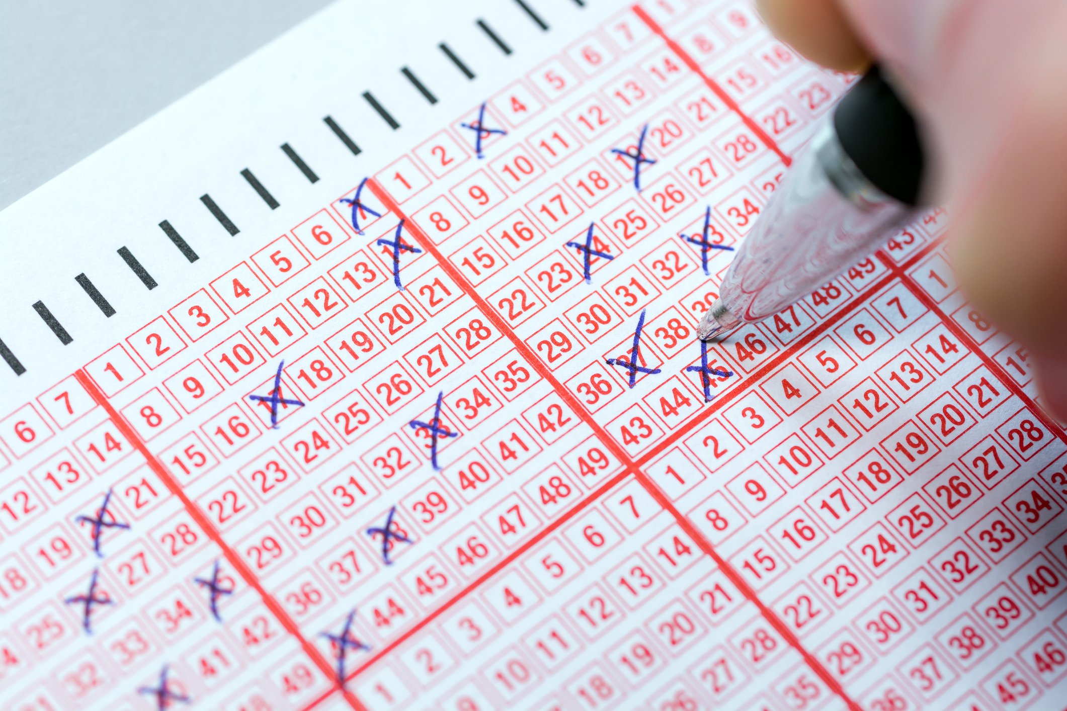 Where To Find The Latest Lotto, Lotto Plus 1, And Lotto Plus 2 Results Where To Find The Latest Lotto, Lotto Plus 1, And Lotto Plus 2 Results
