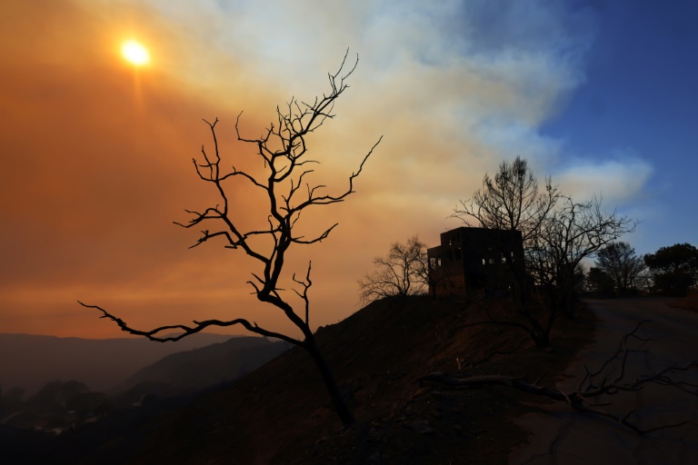Which Celebrities Lost Homes In The LA Palisades Fires? Which Celebrities Lost Homes In The LA Palisades Fires?