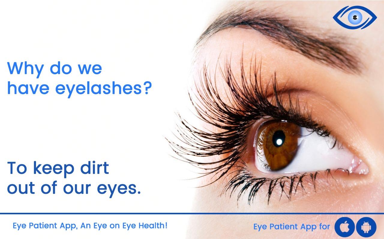 Why Are Men Removing Their Eyelashes? Exploring The Reasons Why Are Men Removing Their Eyelashes? Exploring The Reasons
