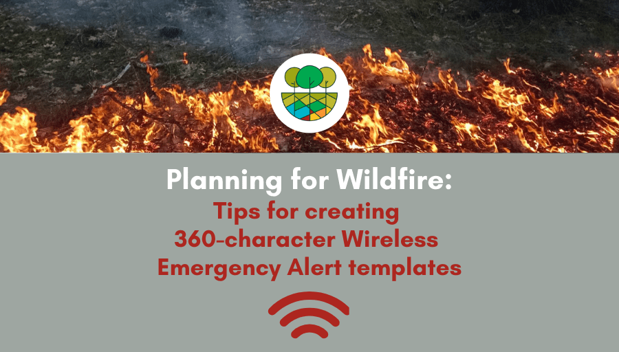 Wildfire Emergency: Homes Lost, Communities Evacuated In Newfoundland Wildfire Emergency: Homes Lost, Communities Evacuated In Newfoundland
