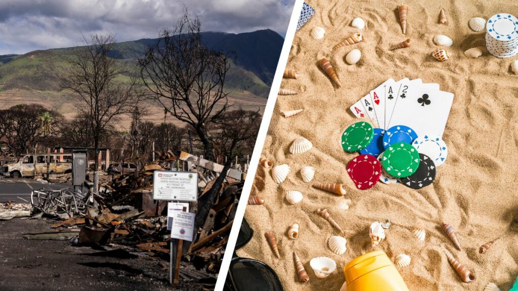 Wildfire Wagers: The Disturbing Reality Of Betting On Natural Disasters Wildfire Wagers: The Disturbing Reality Of Betting On Natural Disasters