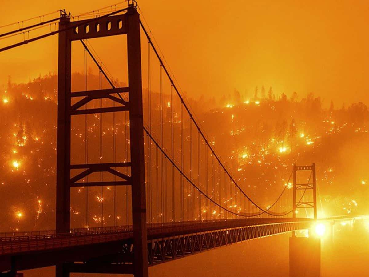Wildfires: A Growing Threat To The UK's Rarest Animals Wildfires: A Growing Threat To The UK's Rarest Animals