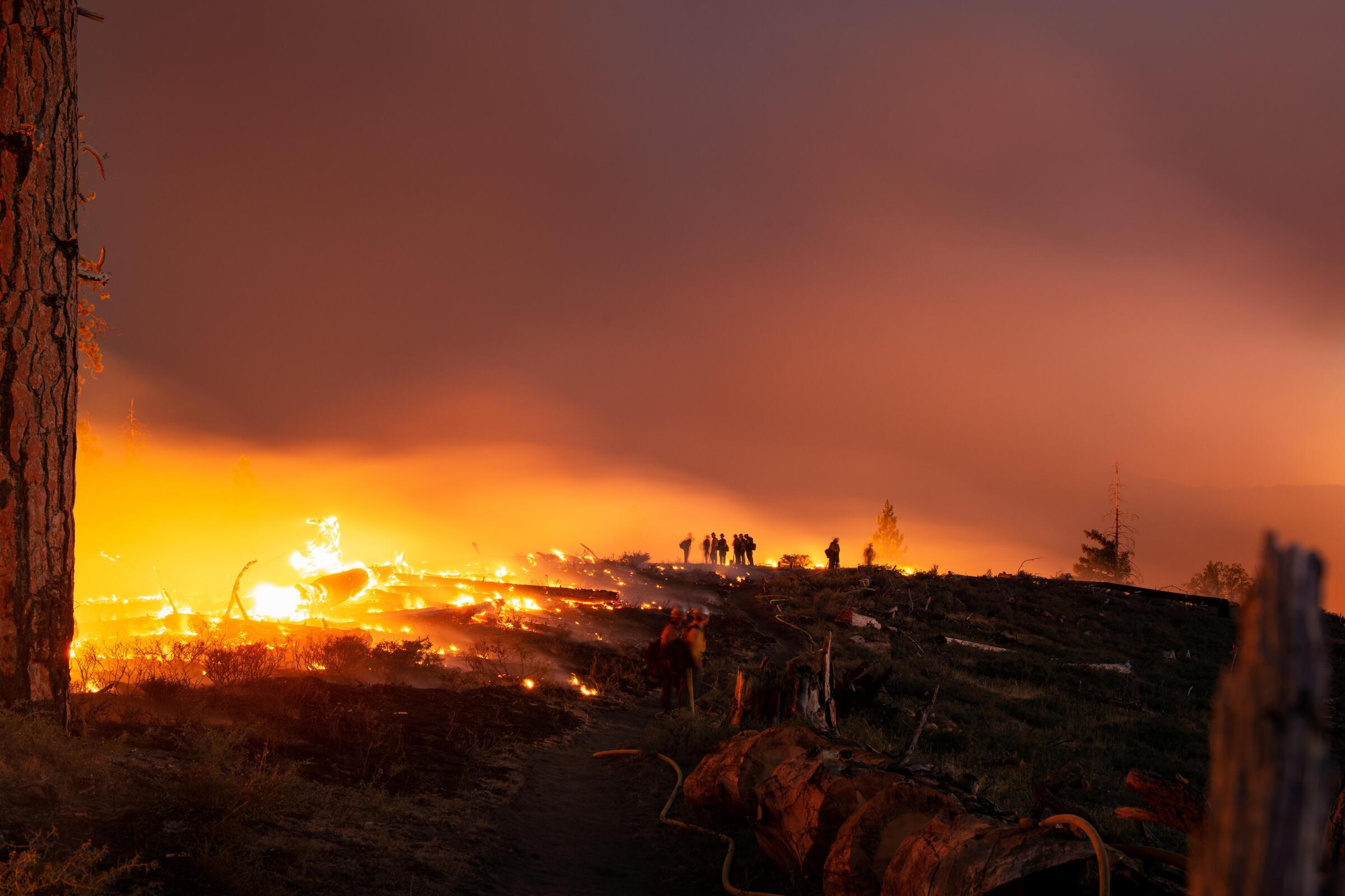 Wildfires And Wagers: How The Los Angeles Fires Highlight A Disturbing Trend In Gambling Wildfires And Wagers: How The Los Angeles Fires Highlight A Disturbing Trend In Gambling