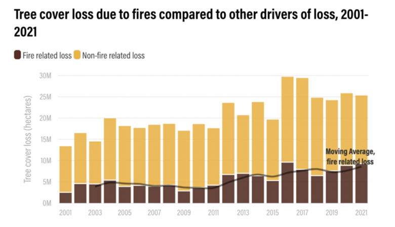 Wildfires Intensify Global Forest Loss, Setting A New Record Wildfires Intensify Global Forest Loss, Setting A New Record
